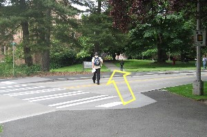 Photo showing how to cross Stevens Way