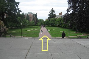 Photo showing path down the middle of The Quad